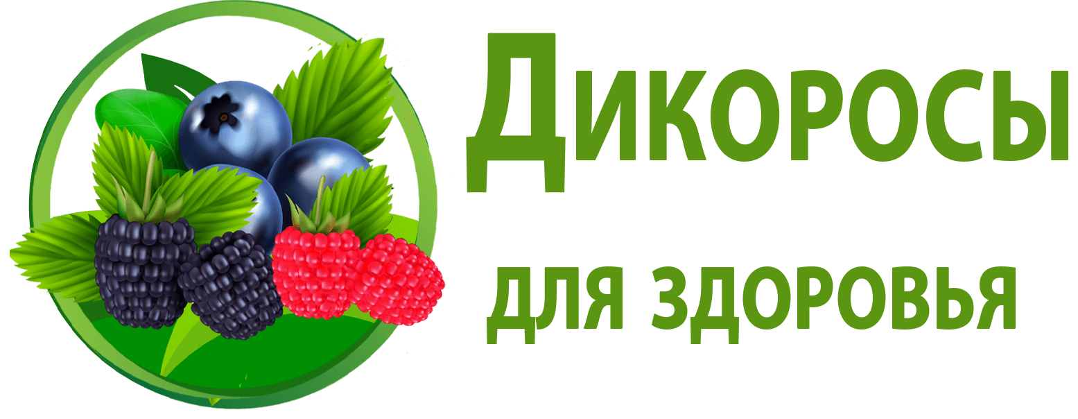Экодикоросы - дикорастущие ягоды, травы сайт Олега Буянова